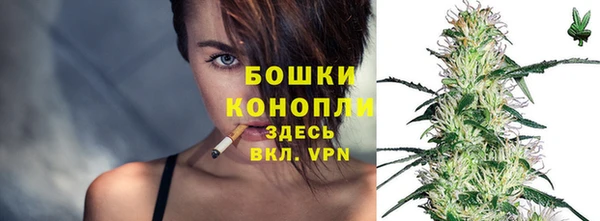 spice Аркадак