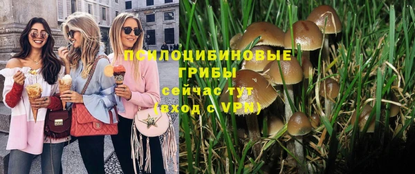 spice Аркадак