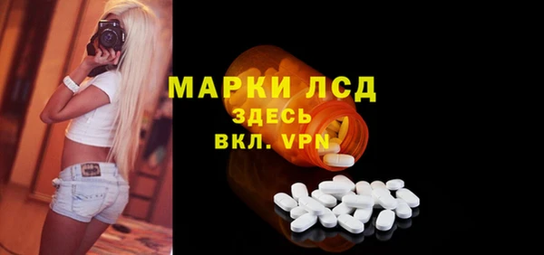 spice Аркадак