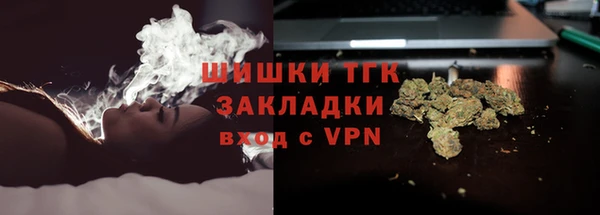 spice Аркадак