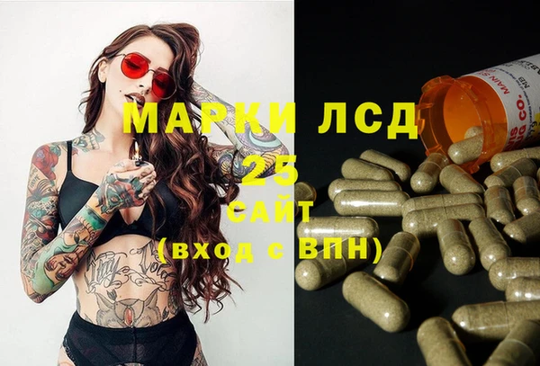 мяу мяу мука Арсеньев