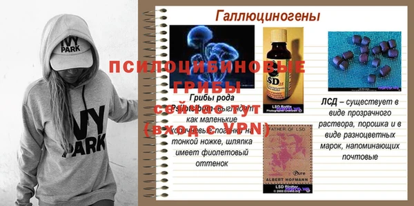 мяу мяу мука Арсеньев