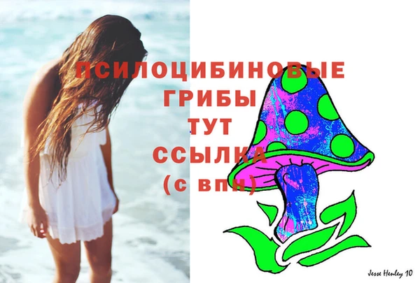 меф Няндома