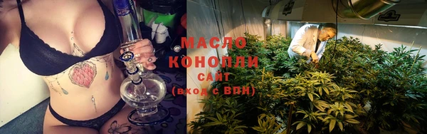индика Нягань