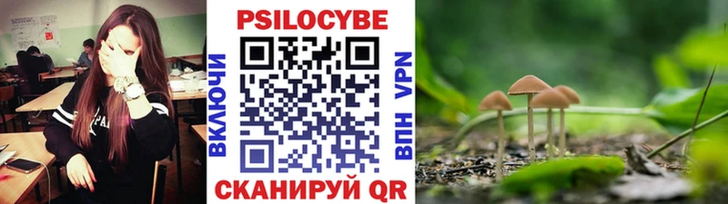 Галлюциногенные грибы ЛСД  Новая Ляля 